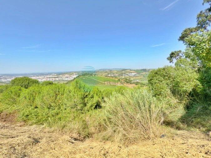 Terreno para Venda em Santa Maria, São Pedro e Matacães Foto 20