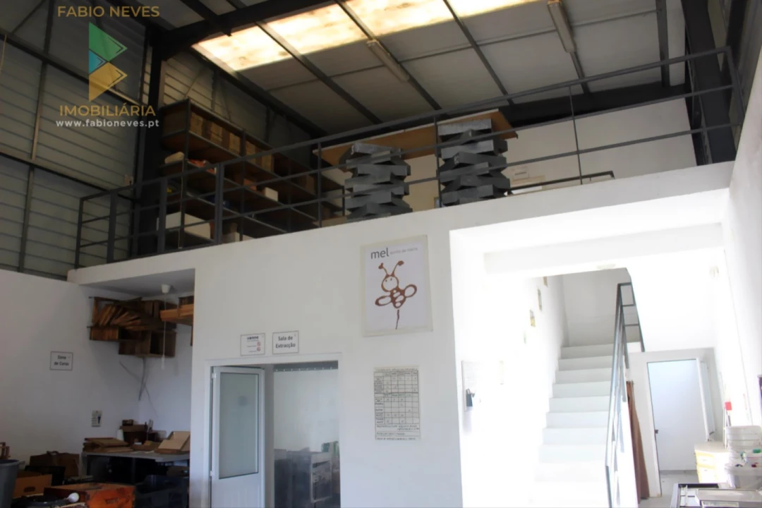 Quinta T2 para Venda em Ossela Foto 6