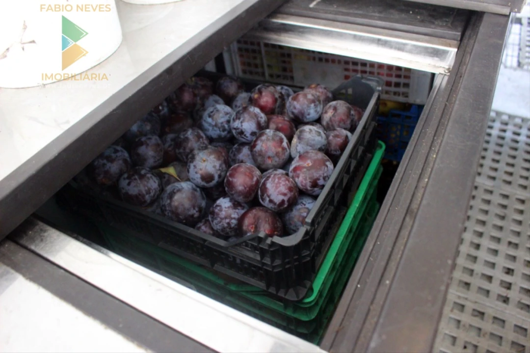 Quinta T2 para Venda em Ossela Foto 10