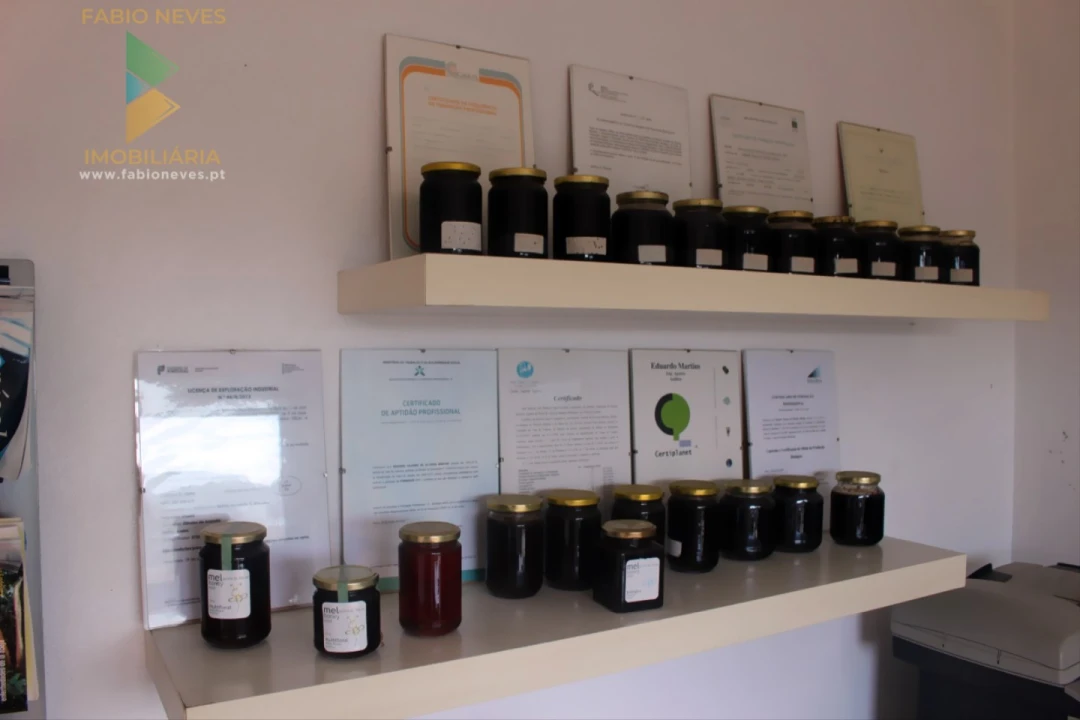 Quinta T2 para Venda em Ossela Foto 14