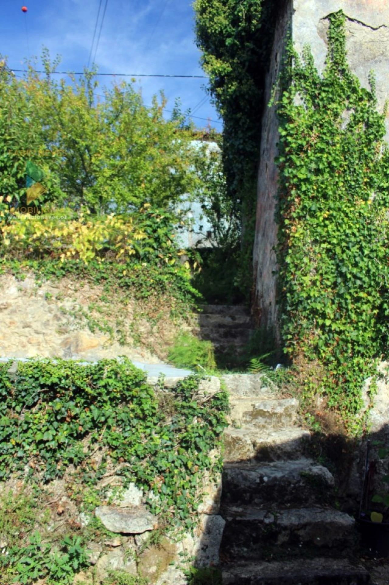 Quinta T2 para Venda em Ossela Foto 19