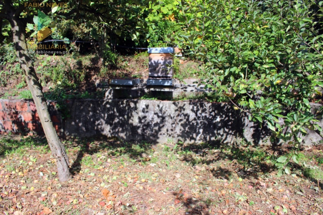 Quinta T2 para Venda em Ossela Foto 51