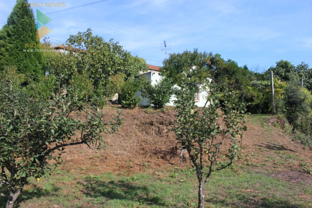 Quinta T2 para Venda em Ossela Foto 53