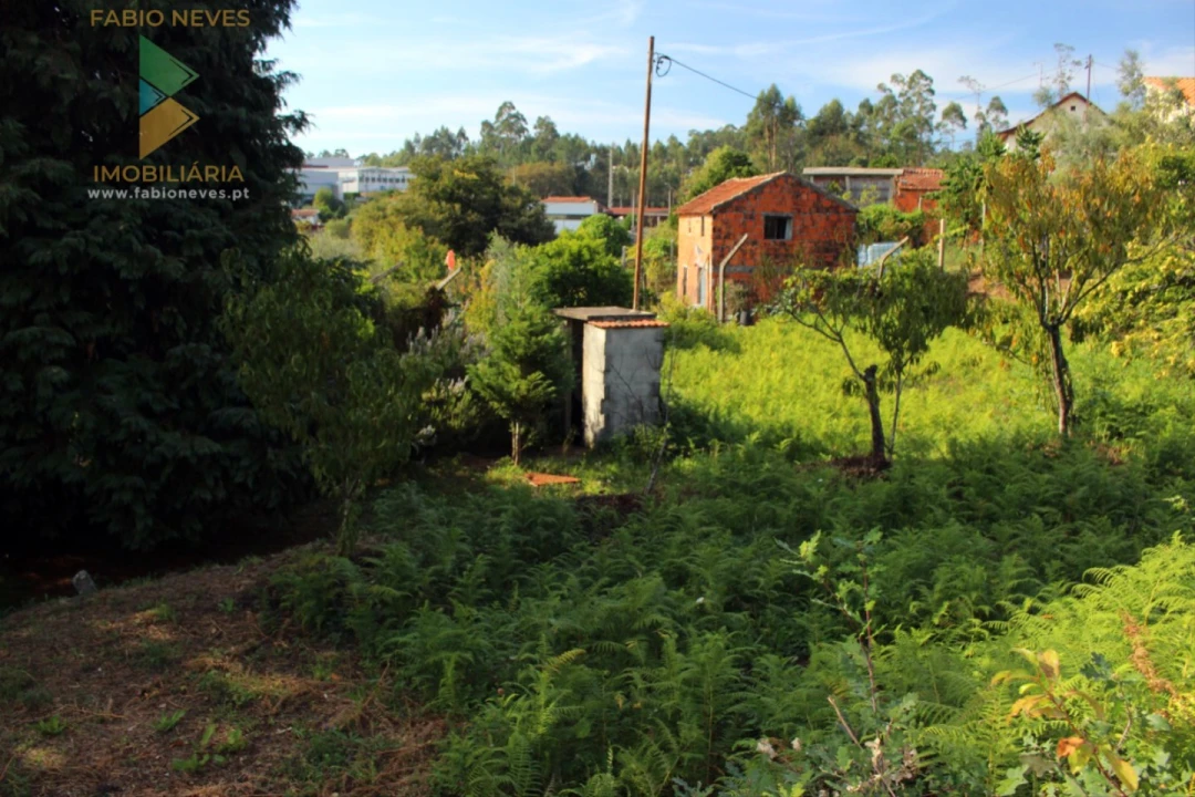 Quinta T2 para Venda em Ossela Foto 54