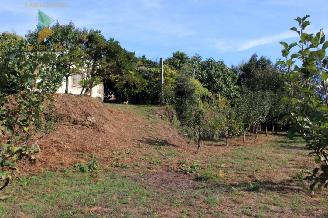 Quinta T2 para Venda em Ossela Foto 55