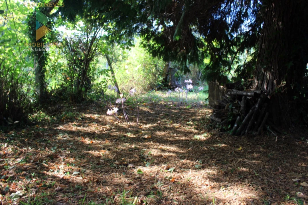 Quinta T2 para Venda em Ossela Foto 56