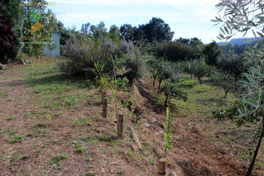Quinta T2 para Venda em Ossela Foto 62