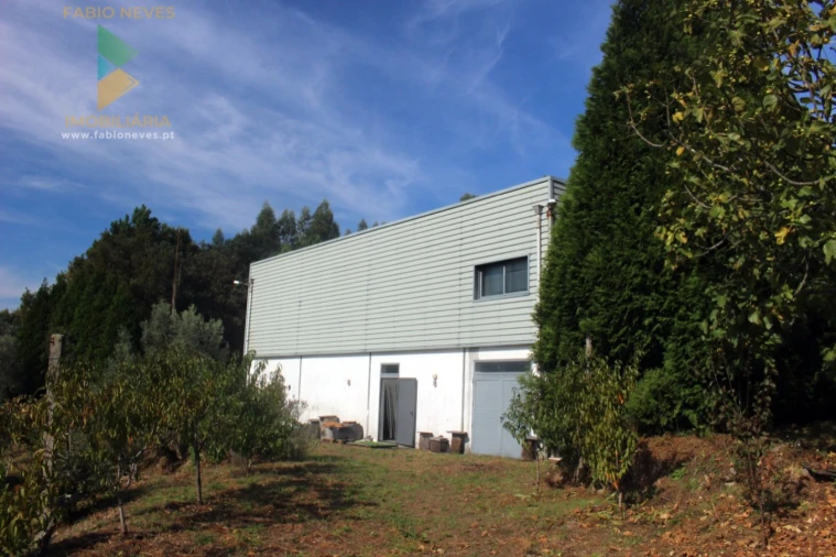 Quinta T2 para Venda em Ossela Foto 3