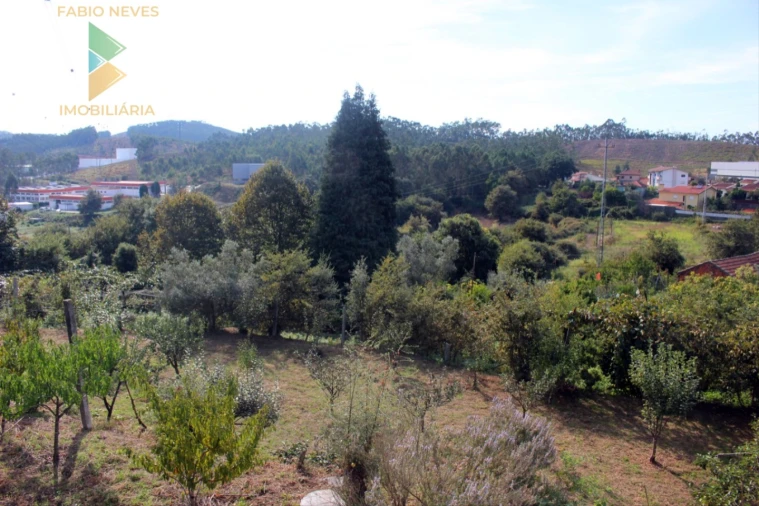 Quinta T2 para Venda em Ossela Foto 17