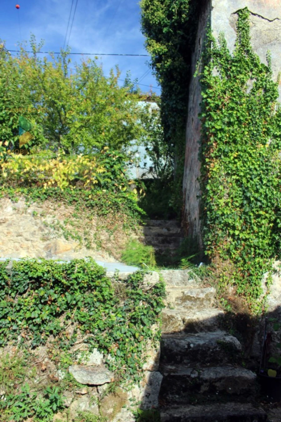 Quinta T2 para Venda em Ossela Foto 19