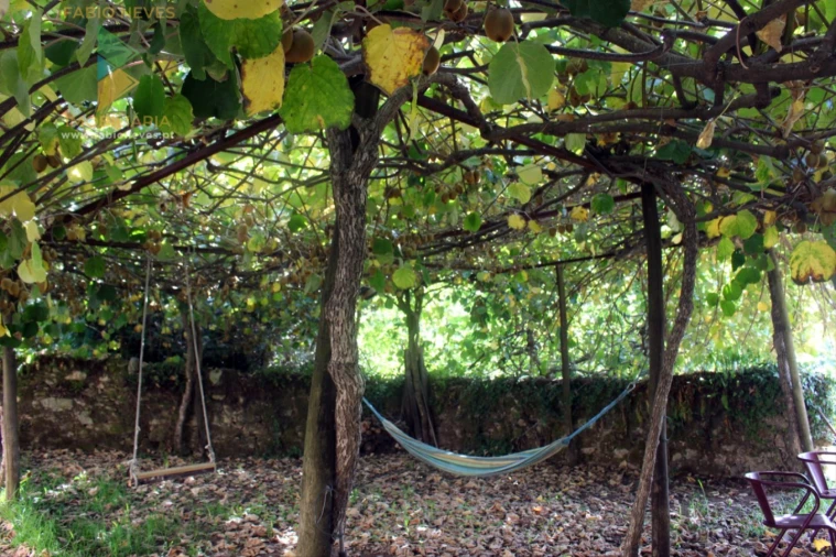 Quinta T2 para Venda em Ossela Foto 26