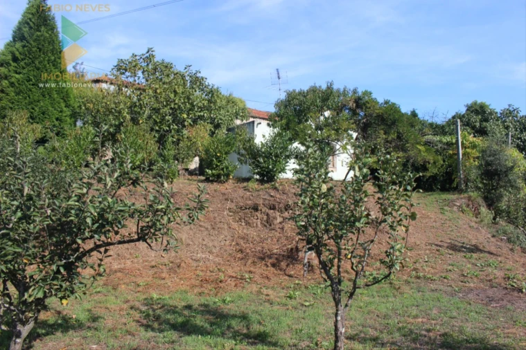 Quinta T2 para Venda em Ossela Foto 53