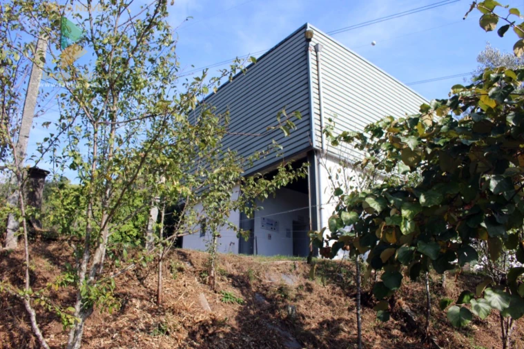 Quinta T2 para Venda em Ossela Foto 64