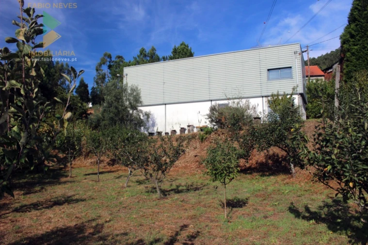 Quinta T2 para Venda em Ossela