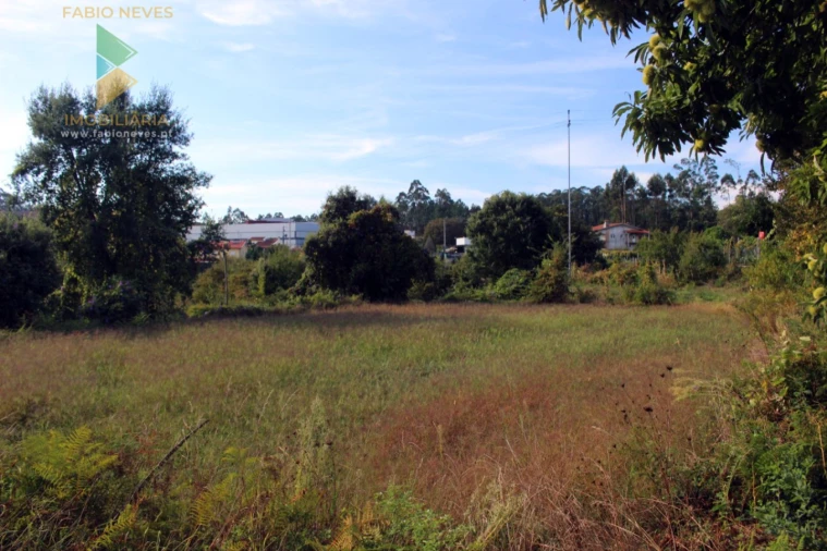 Quinta T2 para Venda em Ossela Foto 58