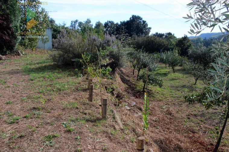 Quinta T2 para Venda em Ossela Foto 62