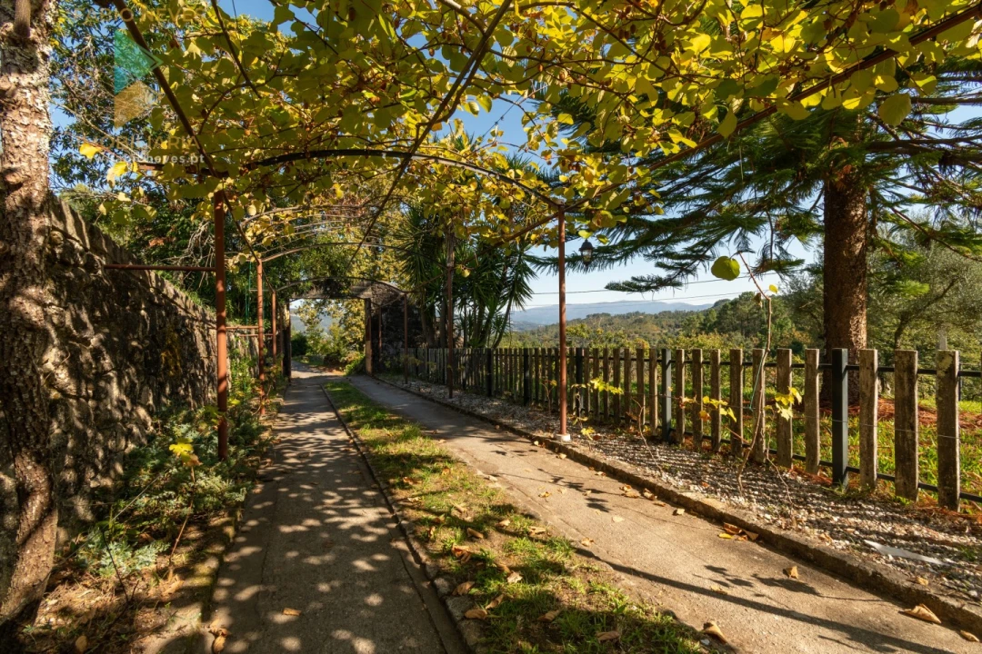 Moradia T3 para Venda em Beiral do Lima Foto 11