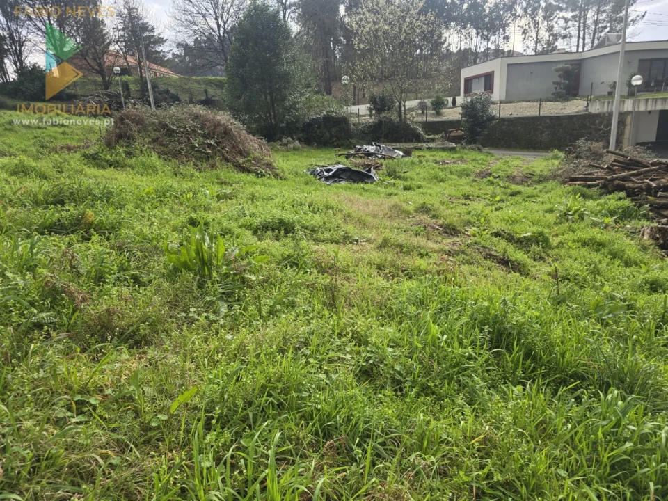 Terreno para Venda em Souto e Tabaçô Foto 9
