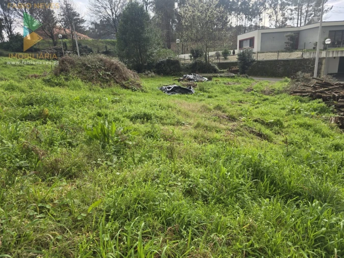 Terreno para Venda em Souto e Tabaçô Foto 9