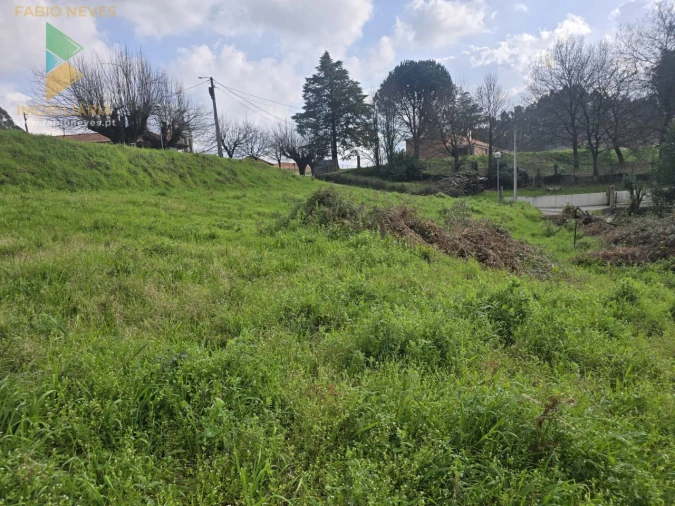 Terreno para Venda em Souto e Tabaçô Foto 12