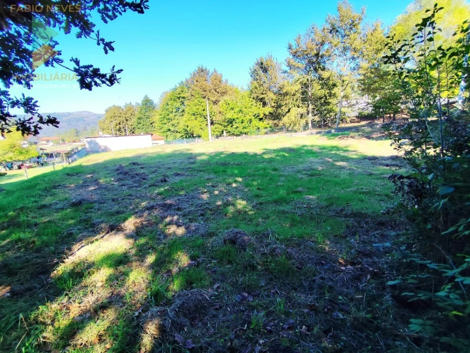Terreno para Venda em Vilela, São Cosme e São Damião e Sá Foto 12