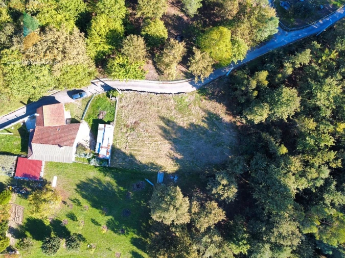 Terreno para Venda em Vilela, São Cosme e São Damião e Sá Foto 8