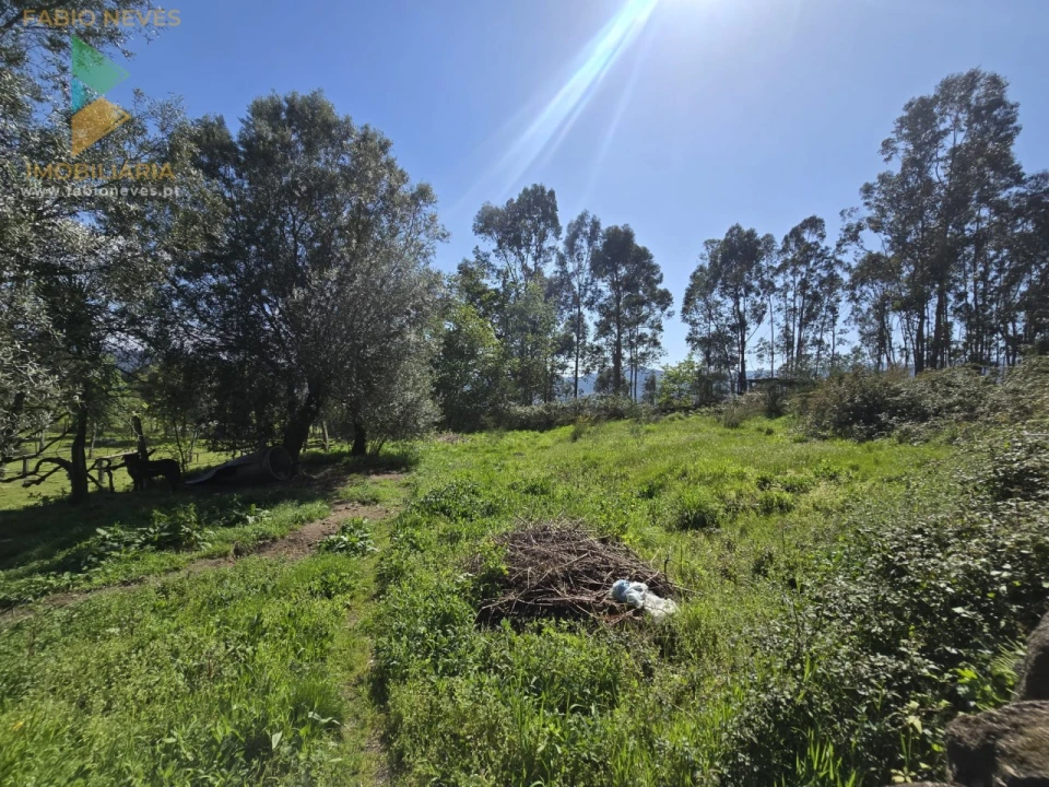 Moradia T3 para Venda em Gondoriz Foto 5