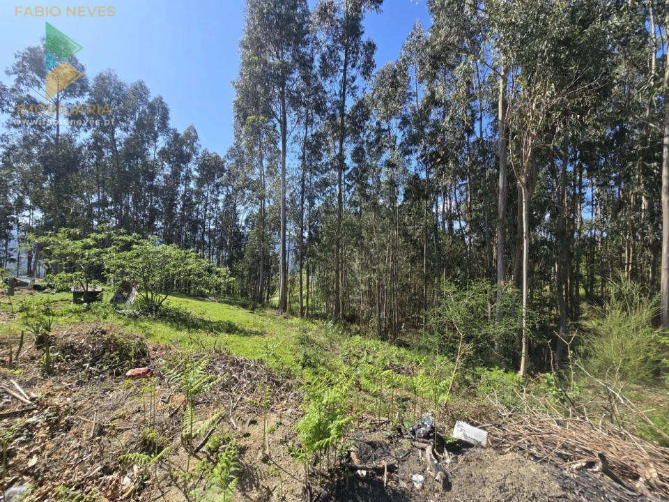 Moradia T3 para Venda em Gondoriz Foto 9