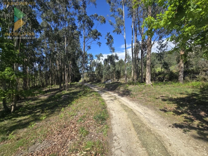 Moradia T3 para Venda em Gondoriz Foto 22