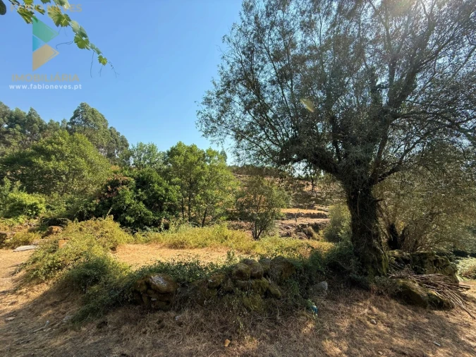 Terreno para Venda em Vale Foto 12