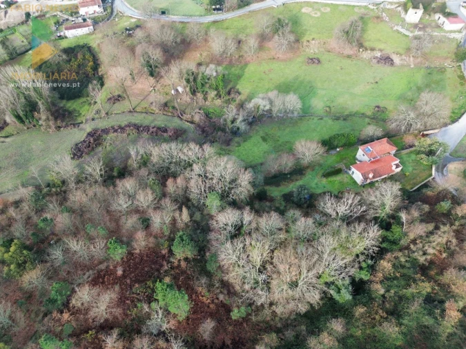 Quinta T4 para Venda em Paço Foto 9