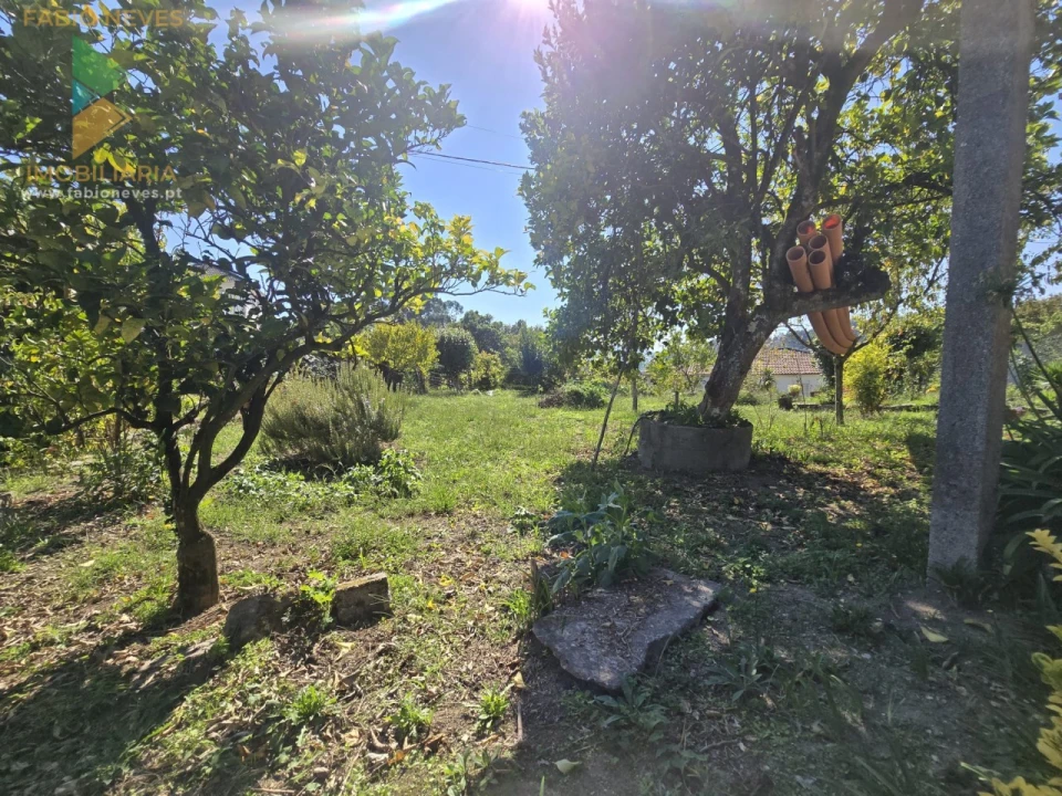 Terreno para Venda em Guilhadeses e Santar Foto 4
