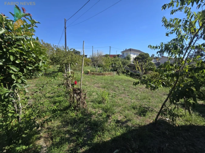 Terreno para Venda em Guilhadeses e Santar Foto 6