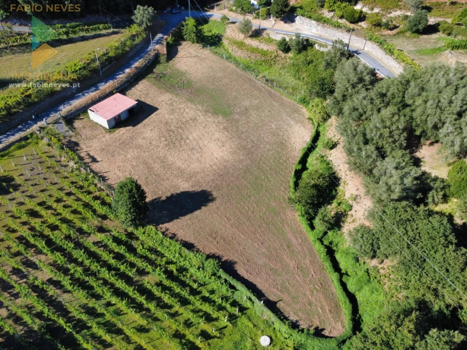 Terreno para Venda em Souto e Tabaçô Foto 6
