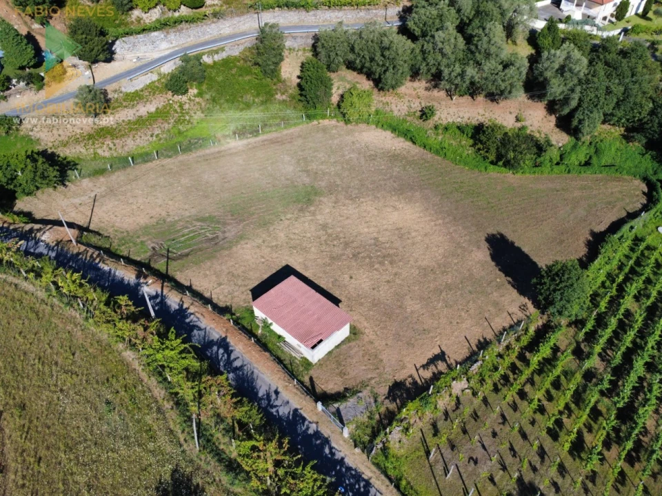 Terreno para Venda em Souto e Tabaçô Foto 9