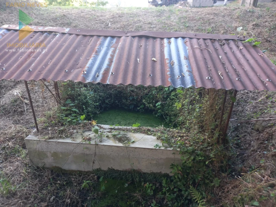 Terreno para Venda em Souto e Tabaçô Foto 13