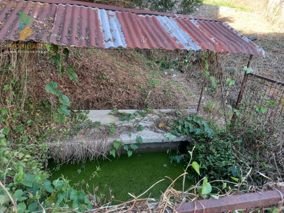 Terreno para Venda em Souto e Tabaçô Foto 14