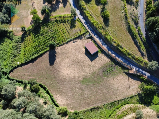 Terreno para Venda em Souto e Tabaçô Foto 4