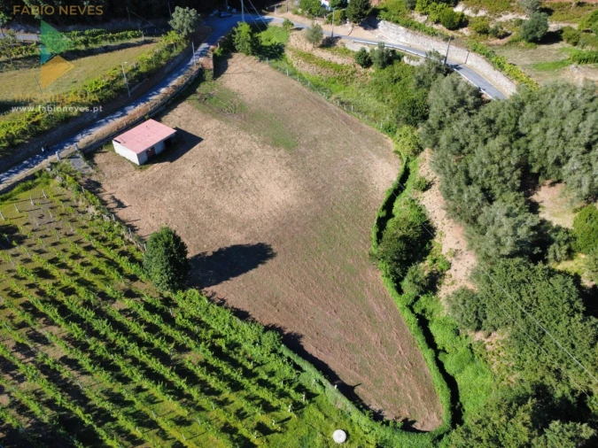 Terreno para Venda em Souto e Tabaçô Foto 6