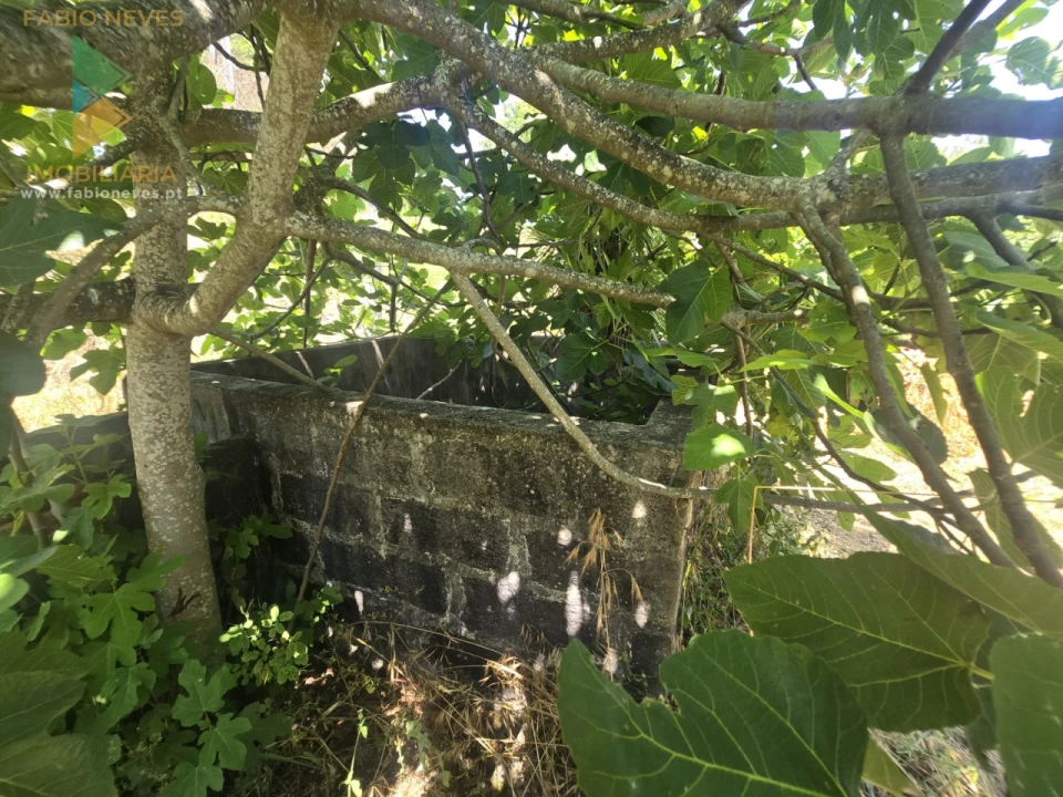 Moradia T3 para Venda em Souto e Tabaçô Foto 18