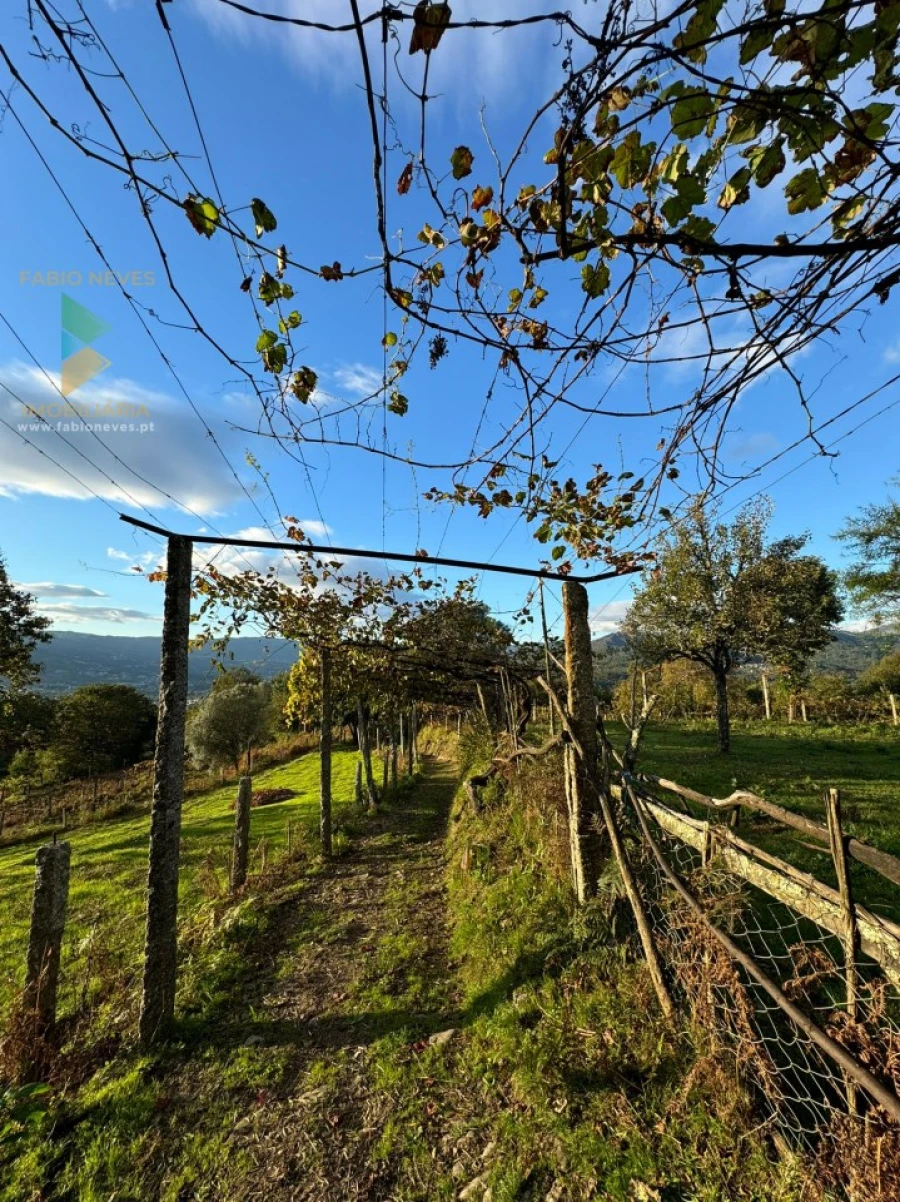 Moradia T2 para Venda em Azere Foto 7