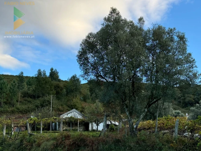 Moradia T2 para Venda em Azere Foto 8