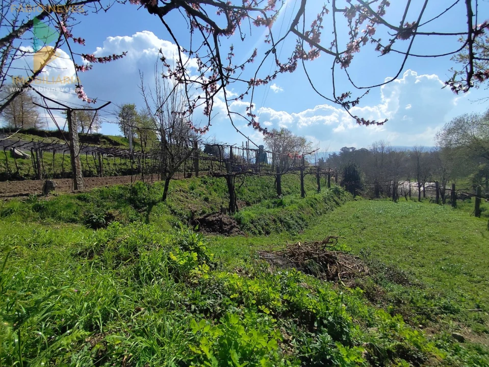 Terreno para Venda em Oliveira Foto 10