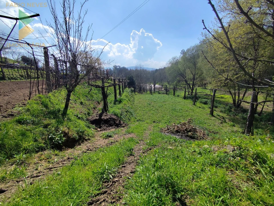 Terreno para Venda em Oliveira Foto 13