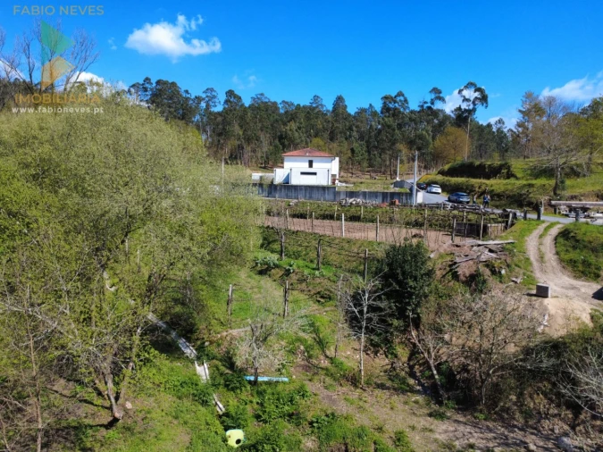 Terreno para Venda em Oliveira Foto 4