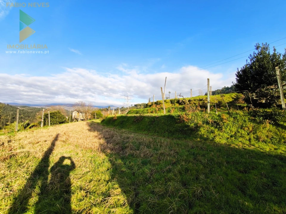 Terreno para Venda em Azere Foto 10