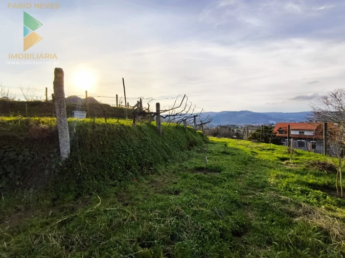 Terreno para Venda em Azere Foto 13