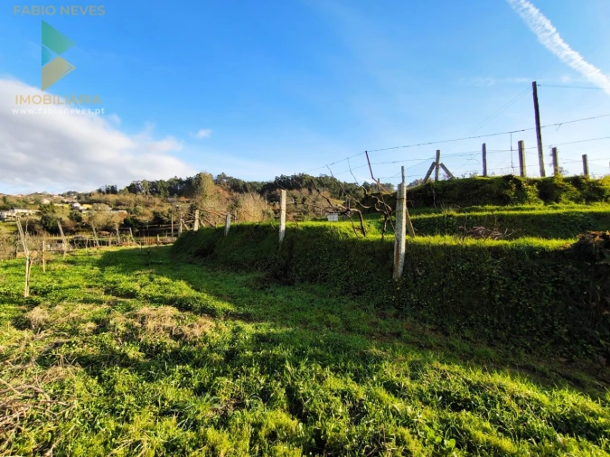 Terreno para Venda em Azere Foto 14
