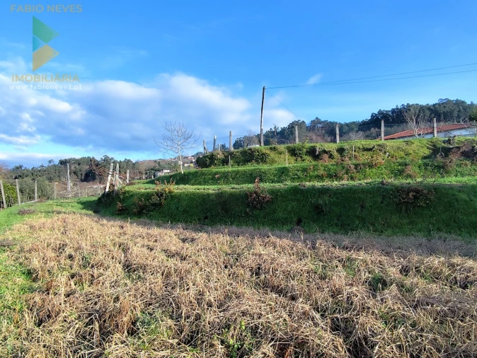 Terreno para Venda em Azere Foto 18