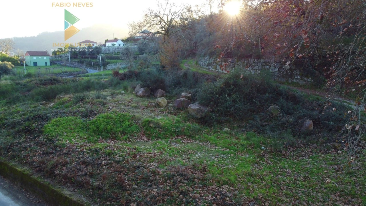 Terreno para Venda em Prozelo Foto 4